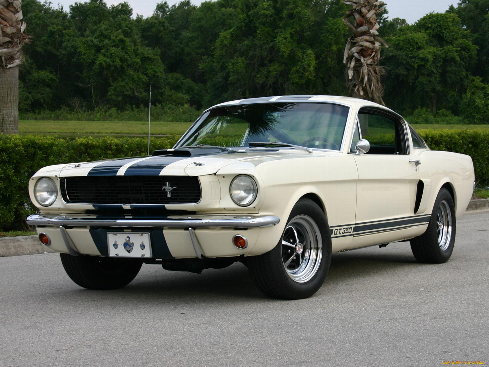 , ford